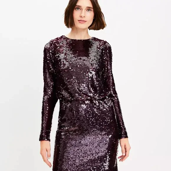 LOFT | Dresses | Loft Sequin Brown Long Sleeve Mini Dress Womens Size 8p  Petite | Poshmark